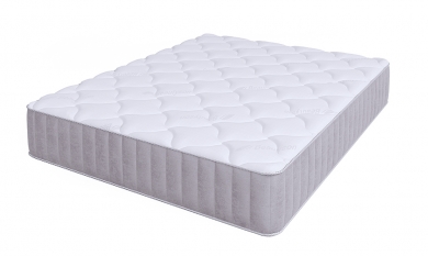  Privat Light S1200 - 2 (,  2)